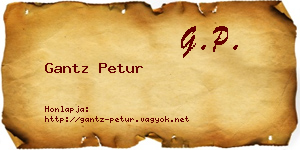Gantz Petur névjegykártya